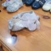 Zapatos niña Meng Ke Xuan brillo y perlas – talla 24 – cerem